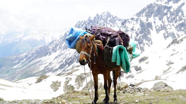 A donkey loaded with supplies standing in front of mountains.