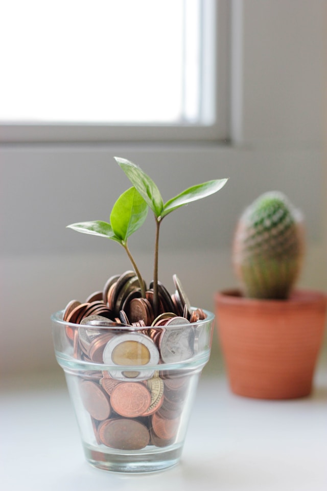 A money tree growing from saved money.
